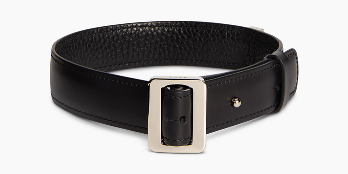 Dog Collar, Nylon, Eyelets