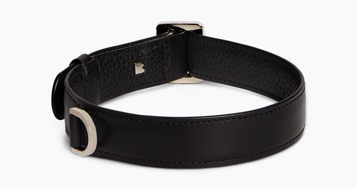 Dog Collar, Nylon, Eyelets