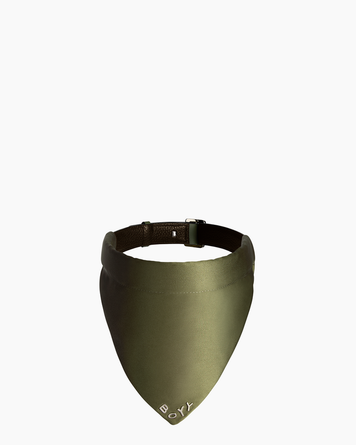 Dog Collar, Nylon