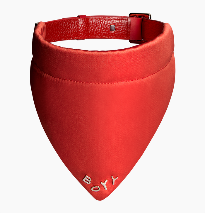 Dog Collar, Nylon