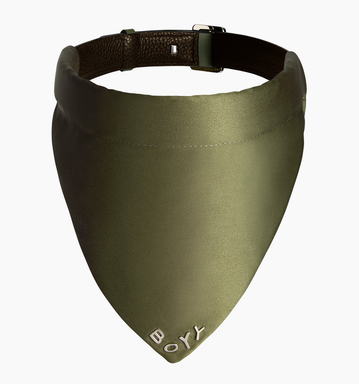 Dog Collar, Nylon