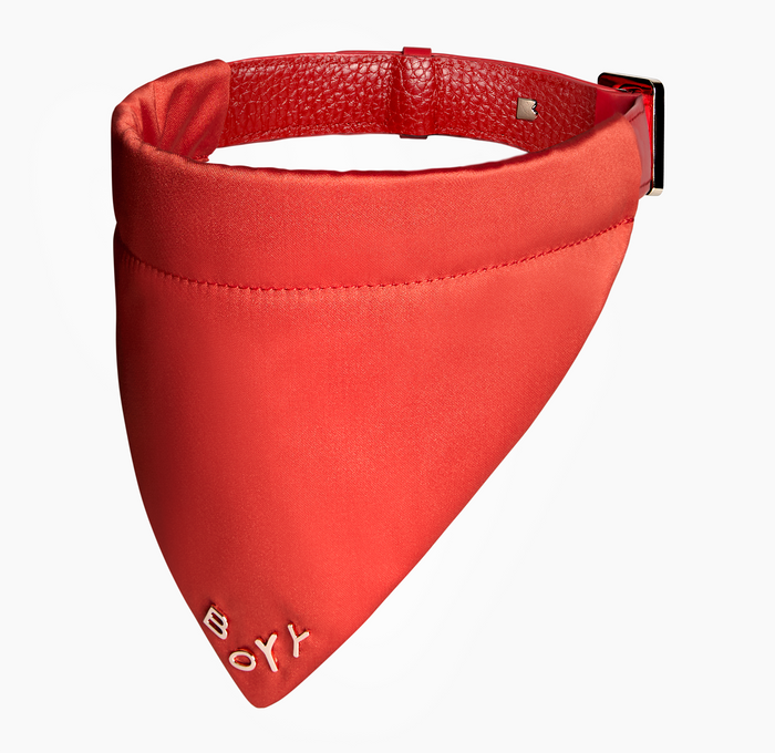 Dog Collar, Nylon