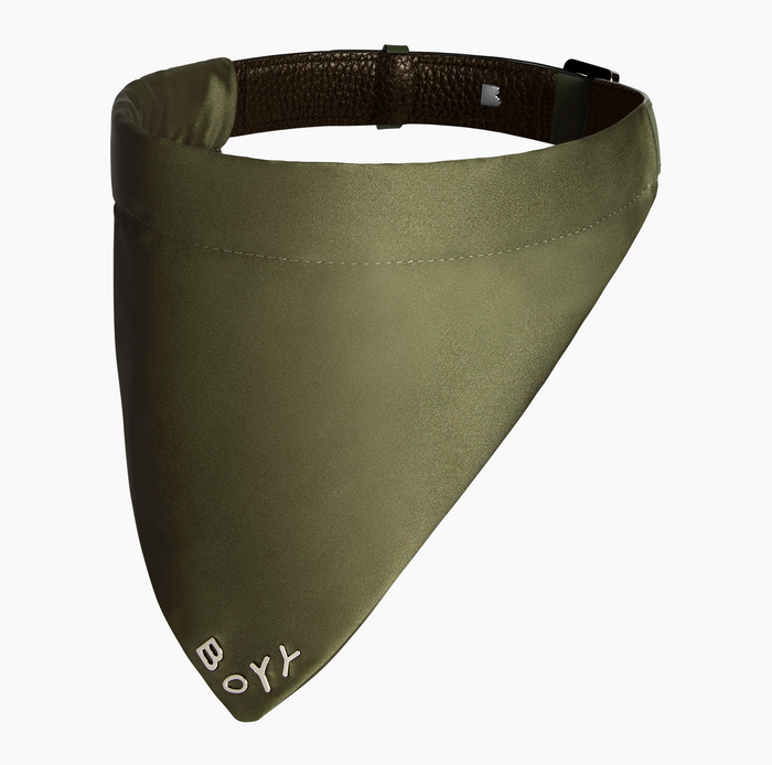 Dog Collar, Nylon