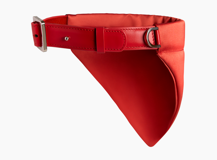 Dog Collar, Nylon