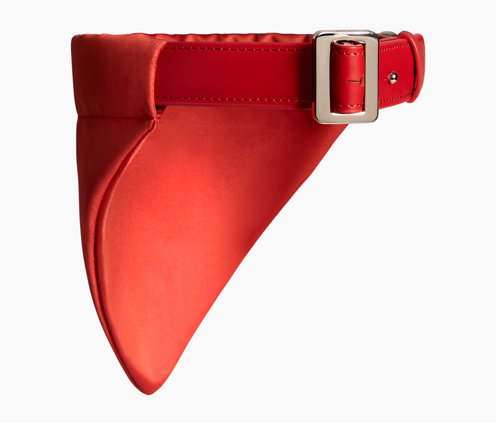 Dog Collar, Nylon