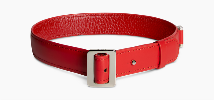 Dog Collar, Nylon