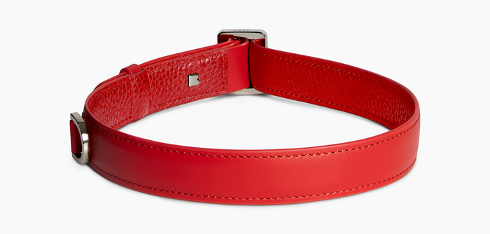 Dog Collar, Nylon
