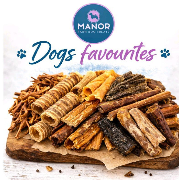 Dogs Favourites