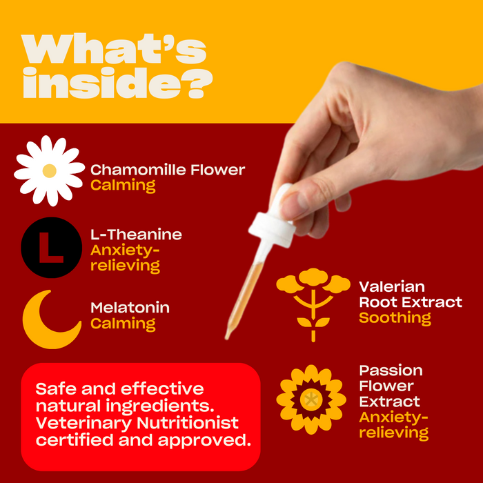 Hand holding a dropper with liquid, surrounded by icons and text listing natural calming ingredients: Chamomille Flower Calming, L-Theanine Anxiety-relieving, Melatonin Calming, Valerian Root Extract Soothing, Passion Flower Extract Anxiety-relieving. Text: Safe and effective natural ingredients. Veterinary Nutritionist certified and approved.