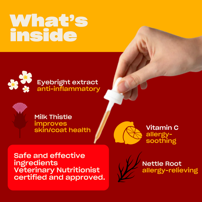 Infographic 'What's inside' listing Eyebright, Milk Thistle, Vitamin C, and Nettle root with allergy and skin benefits