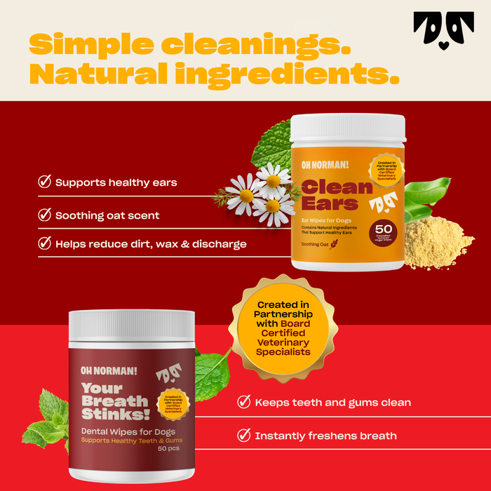Graphic: ‘Simple cleanings. Natural ingredients.’ shows ear and dental dog wipes, key benefits, and vet partnership badge