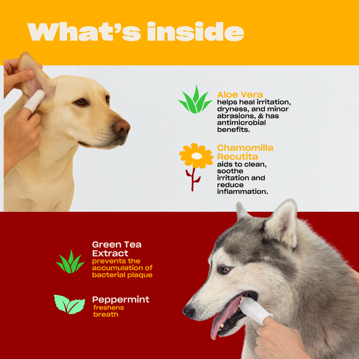 Infographic showing What’s inside for the Easy AF Cleaning Bundle: aloe vera, chamomilla recutita, green tea extract, and peppermint with short benefit notes