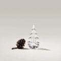 Five Sided Evergreen