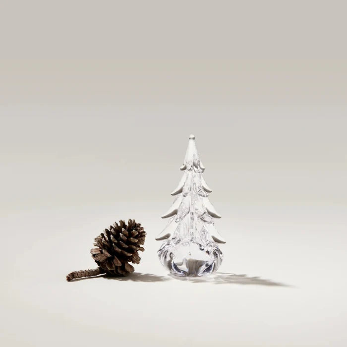 Five Sided Evergreen