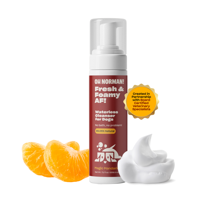 Front of Fresh & Foamy AF 7.1 fl oz waterless dog cleanser with pump, Mandarin label, foam and mandarin slices