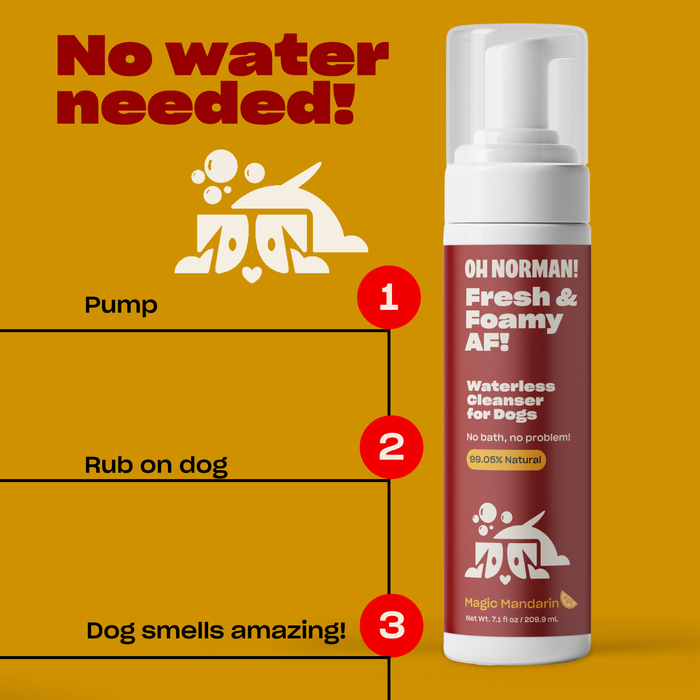 Right view of Fresh & Foamy AF waterless cleanser bottle showing pump and No water needed! headline on mustard background