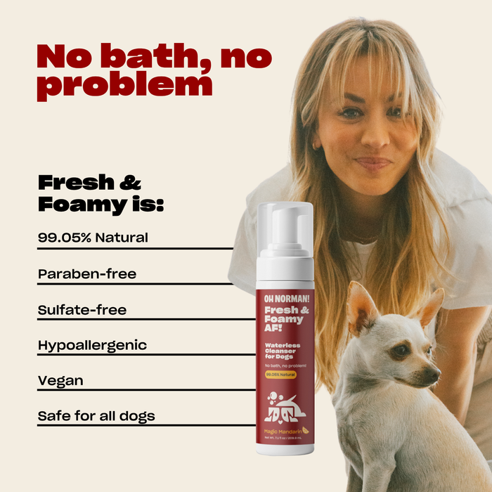 Infographic showing headline 'No bath, no problem' and that Fresh & Foamy AF is 99.05 percent natural and safe for dogs with a picture of actress Kaley Cuoco