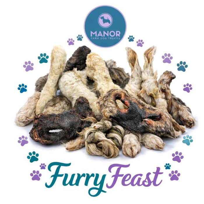 Furry Feast