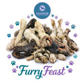 Furry Feast