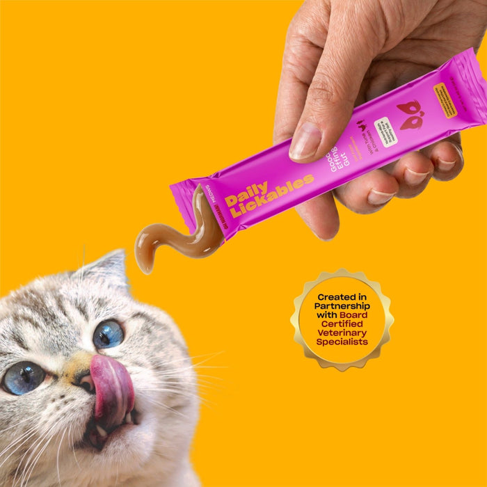 Blue eye cat trying Oh Norman Daily Lickable