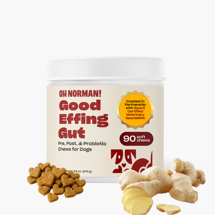 Front view of Good Effing Gut jar of dog probiotic chews; label reads "Pre, Post & Probiotic Chews for Dogs" and "90 soft chews" with ginger and heart-shaped treats on white background