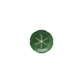 Green Cabbage Fruit Plate