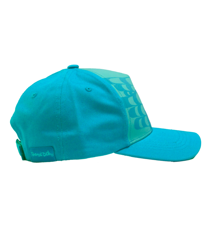 Hummingbird Baseball Cap by Francis Dick indigenous art gift by Francis Dick Canada