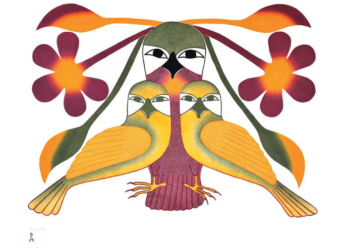 Resplendent Owls 2005