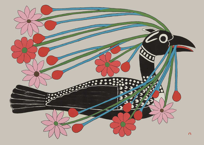 Courting Loon 2008