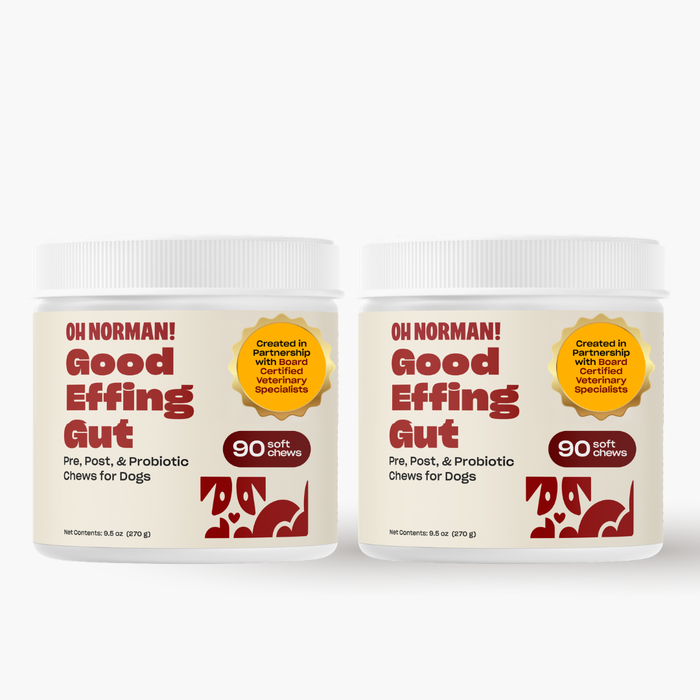 Limited Time: Buy One, Get One Good Effing Gut! Dog Probiotic