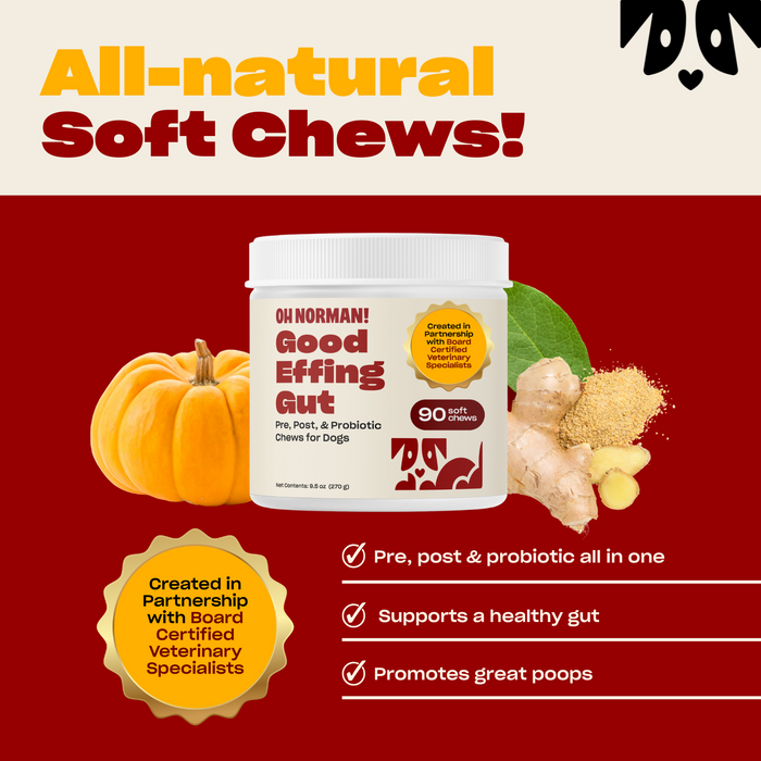 Promotional banner showing Good Effing Gut dog probiotic jar and headline 'All-natural Soft Chews!', plus badge and three benefits