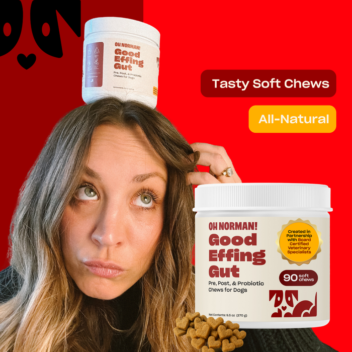 Actress Kaley Cuoco balancing Good Effing Gut jar on head with product jar and chews on red background, overlay reads Tasty Soft Chews