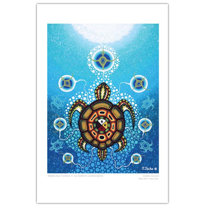 Medicine Turtle indigenous art gift by James Jacko Canada