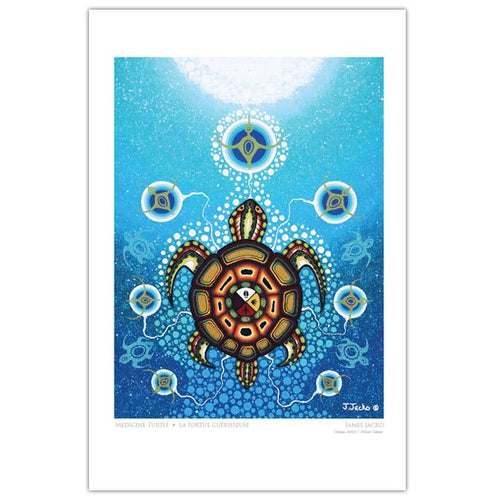 Medicine Turtle indigenous art gift by James Jacko Canada