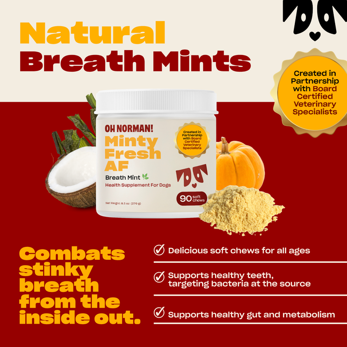 Promotional graphic: 'Natural Breath Mints' with Minty Fresh AF jar; soft chews fight bad breath, support teeth and gut