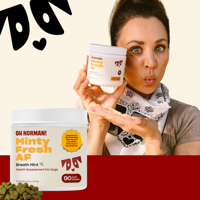 Actress Kaley Cuoco holding Minty Fresh AF jar showing label and 90 soft chews badge on cream and red background