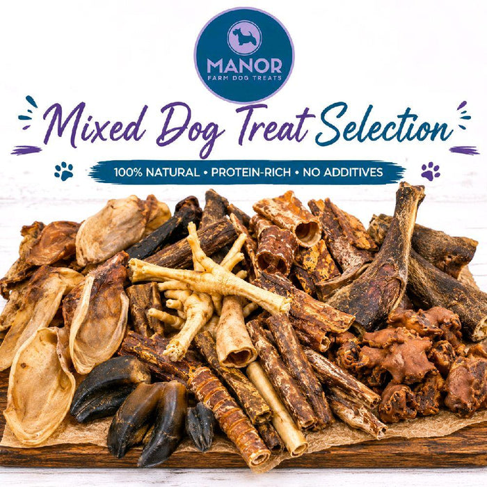 Mixed Dog Treat Selection