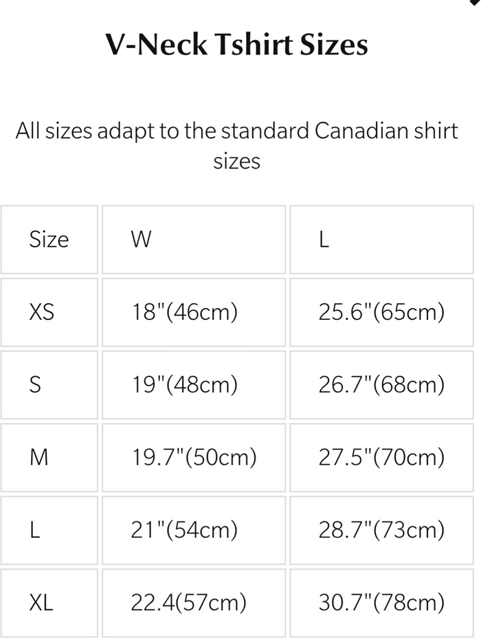 Not Forgotton Vneck Women's Tshirt indigenous art gift by Maxine Noel Canada