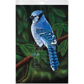 Perched Bagged Poster