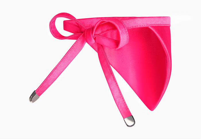 Pet Bandana, Nylon