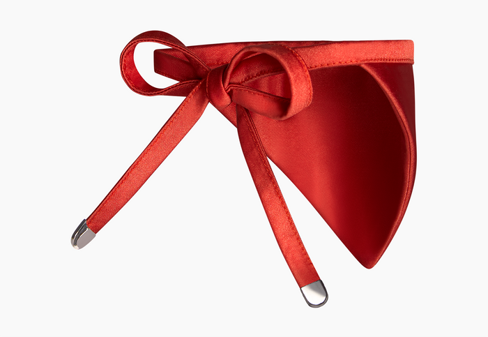 Pet Bandana, Nylon