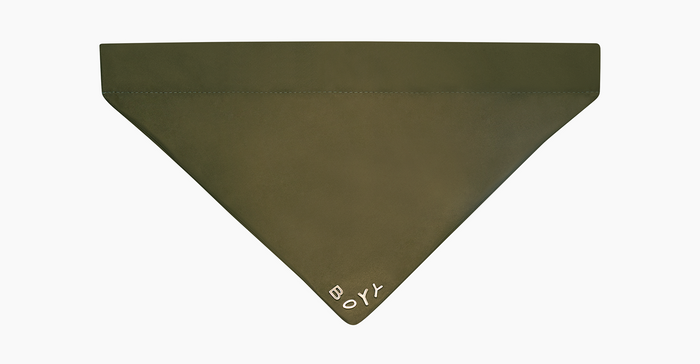 Pet Bandana, Nylon