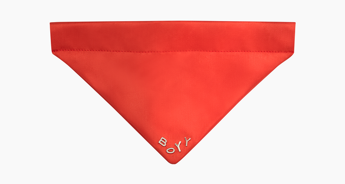 Pet Bandana, Nylon