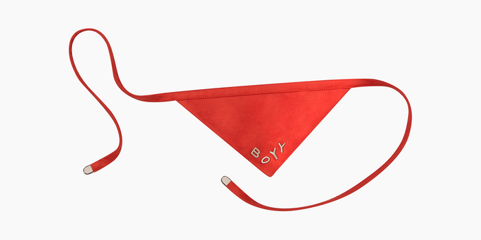 Pet Bandana, Nylon