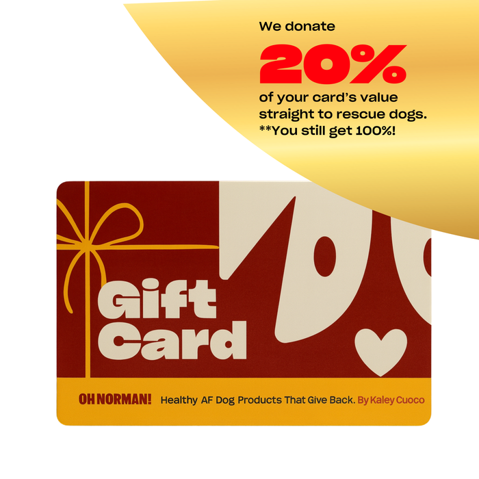 Front of Oh Norman! gift card, red and cream design; gold banner: We donate 20% of your card’s value to rescue dogs