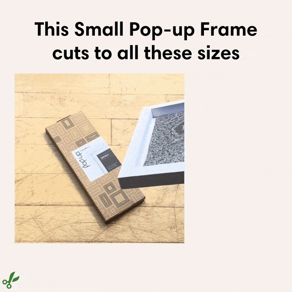 Picture Frame 3-pack for Renters and Students