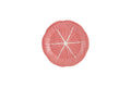 Pink Cabbage Fruit Plate