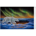 Polar Nights Bagged Poster