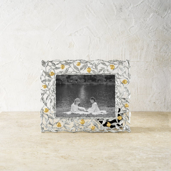 Pomegranate Silver & Gold 5x7 Frame