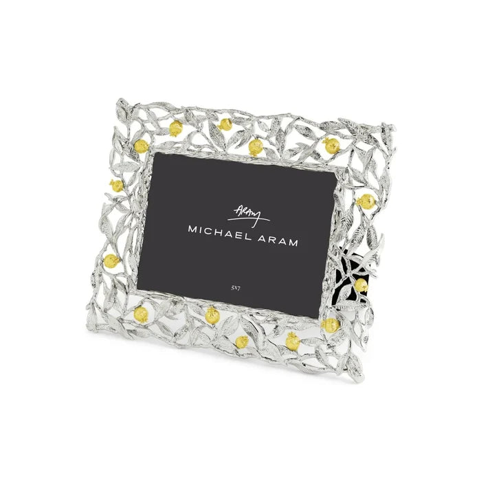 Pomegranate Silver & Gold 5x7 Frame